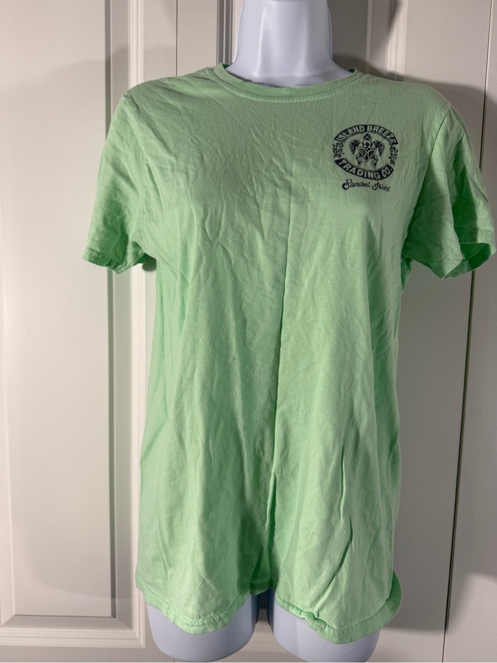Gildan Short-Sleeve Tee in Light Mint Green with Small Chest Logo
